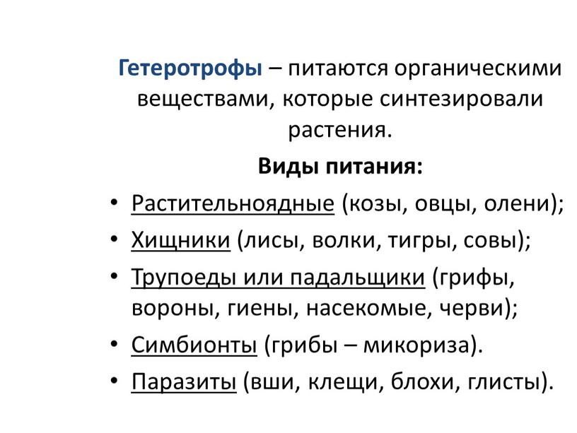 Гетеротрофы – питаются органическими веществами, которые синтезировали растения