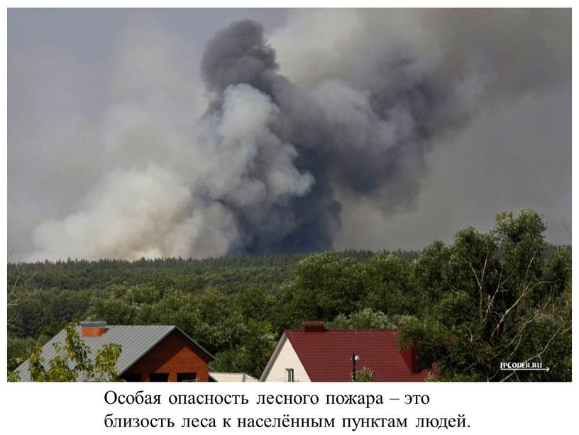 Особая опасность лесного пожара – это близость леса к населённым пунктам людей