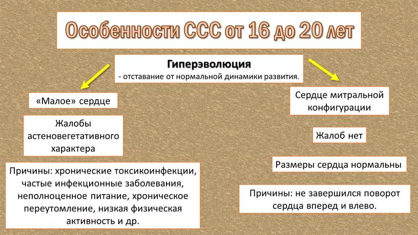 Гиперэволюция - отставание от нормальной динамики развития