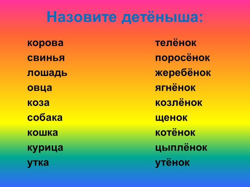 Назовите детёныша: корова свинья лошадь овца коза собака кошка курица утка телёнок поросёнок жеребёнок ягнёнок козлёнок щенок котёнок цыплёнок утёнок