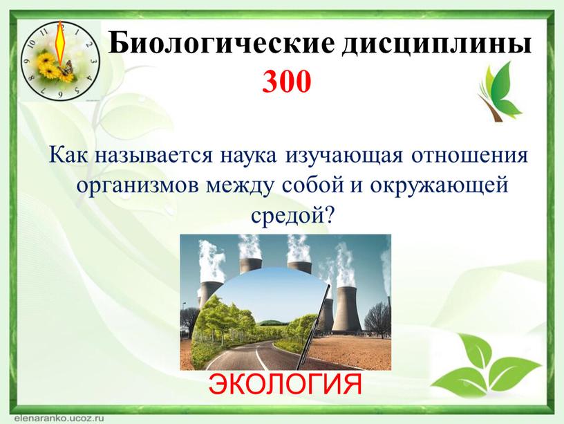 Биологические дисциплины 300