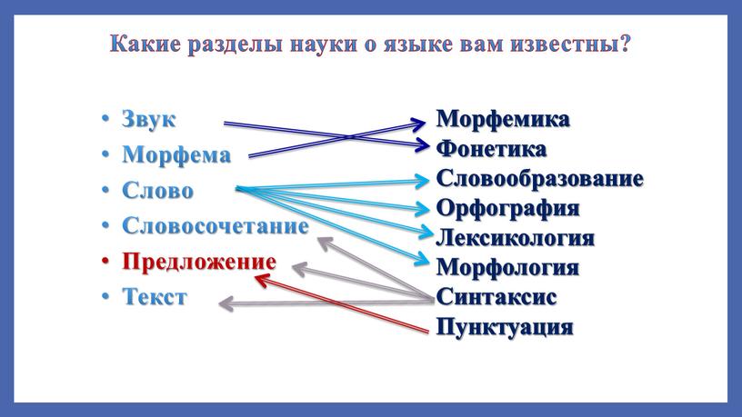 Какие разделы науки о языке вам известны?