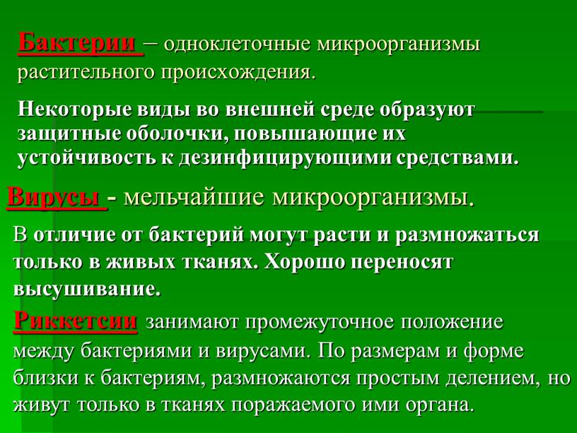 Бактерии – одноклеточные микроорганизмы растительного происхождения