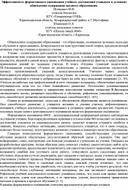 Обложка для материала Эффективность формативного оценивания учебных достижений учащихся в условиях обновления содержания среднего образования.