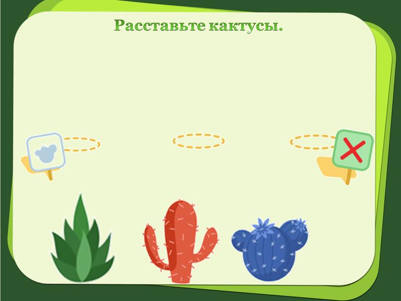 Расставьте кактусы.