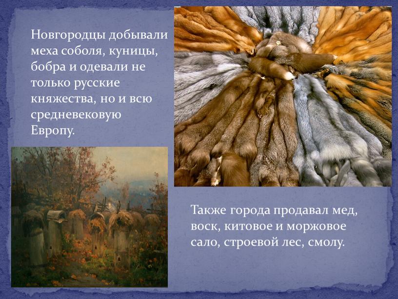 Новгородцы добывали меха соболя, куницы, бобра и одевали не только русские княжества, но и всю средневековую