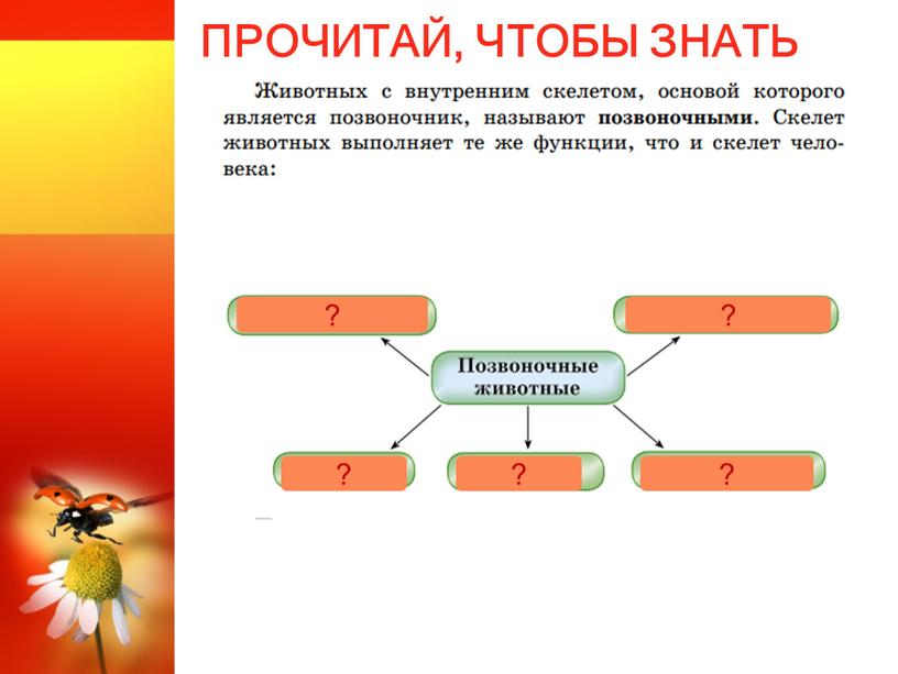 ПРОЧИТАЙ, ЧТОБЫ ЗНАТЬ ? ? ? ? ?