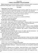 Конспект урока по окружающему миру на тему ГРИБЫ СЪЕДОБНЫЕ И НЕСЪЕДОБНЫЕ(3 класс)