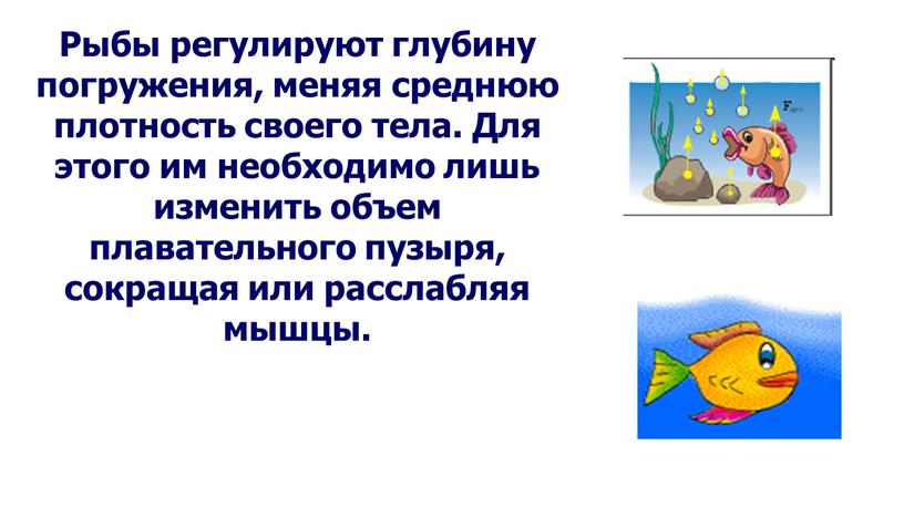 Рыбы регулируют глубину погружения, меняя среднюю плотность своего тела