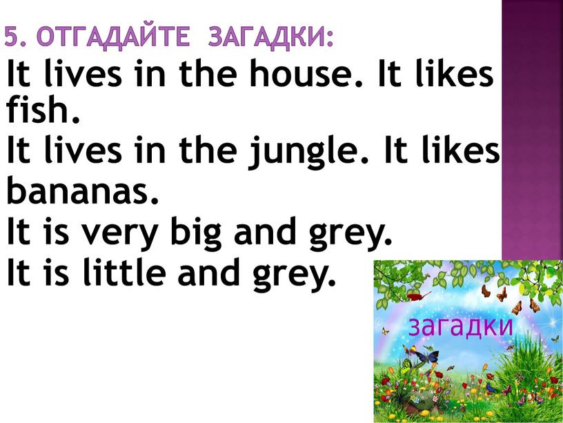 Отгадайте Загадки: It lives in the house