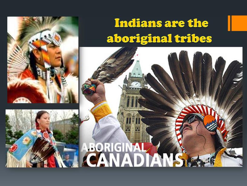 Indians are the aboriginal tribes