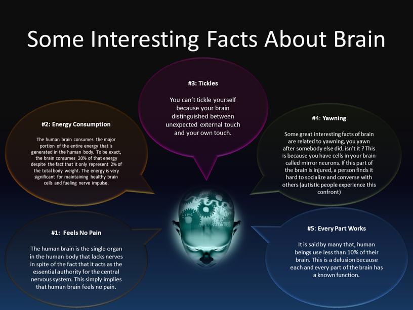 Some Interesting Facts About Brain #1: