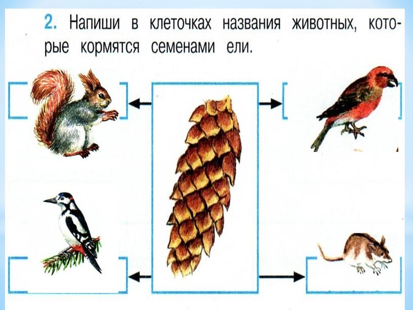 Невидимые нити в зимнем лесу