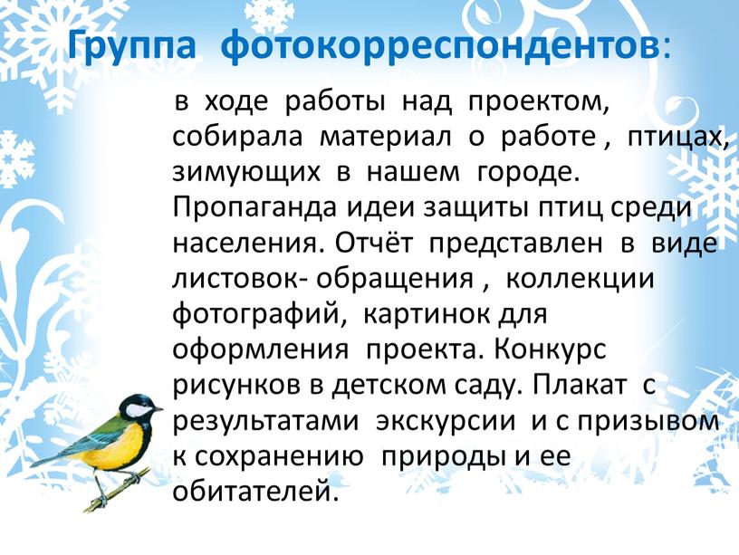 Группа фотокорреспондентов : в ходе работы над проектом, собирала материал о работе , птицах, зимующих в нашем городе