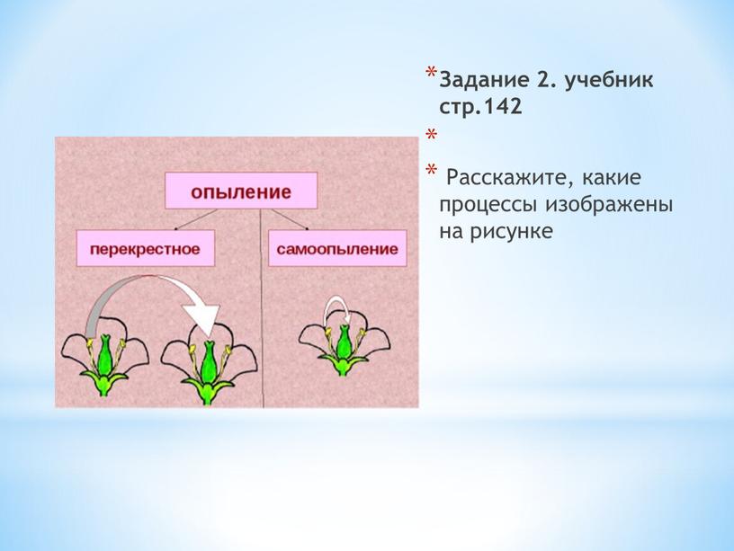 Задание 2. учебник стр.142 Расскажите, какие процессы изображены на рисунке