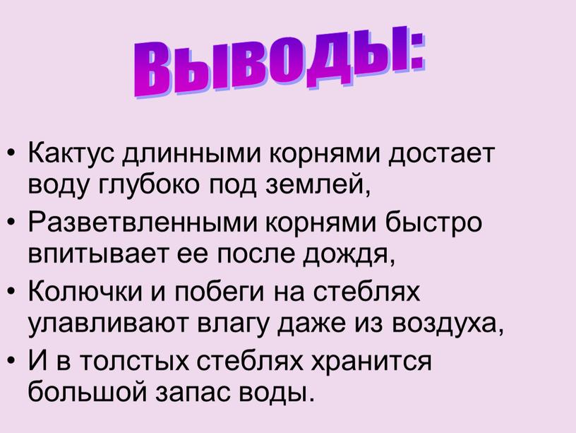 Кактус длинными корнями достает воду глубоко под землей,