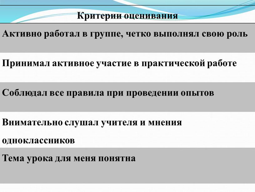 Критерии оценивания Активно работал в группе, четко выполнял свою роль