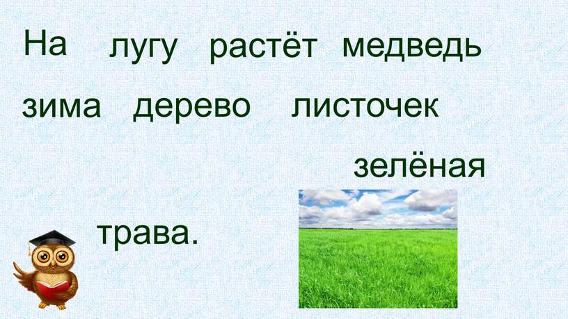 На лугу растёт медведь зима дерево листочек зелёная трава