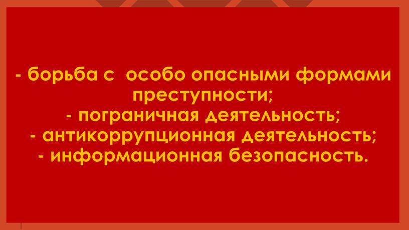 - борьба с особо опасными формами преступности; - пограничная деятельность; - антикоррупционная деятельность; - информационная безопасность.