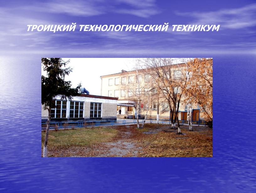 ТРОИЦКИЙ ТЕХНОЛОГИЧЕСКИЙ ТЕХНИКУМ