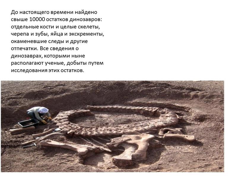 До настоящего времени найдено свыше 10000 остатков динозавров: отдельные кости и целые скелеты, черепа и зубы, яйца и экскременты, окаменевшие следы и другие отпечатки