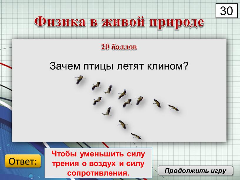 Зачем птицы летят клином? Физика в живой природе