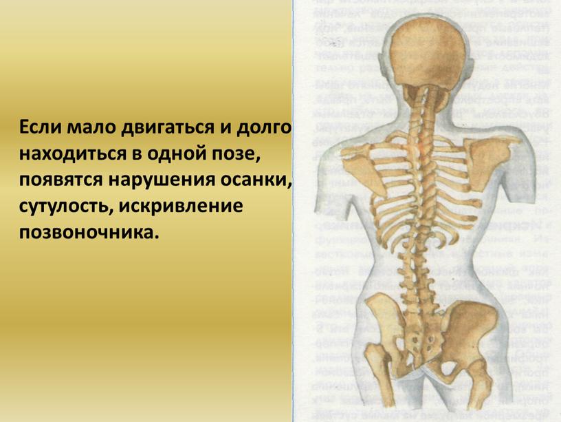 Если мало двигаться и долго находиться в одной позе, появятся нарушения осанки, сутулость, искривление позвоночника