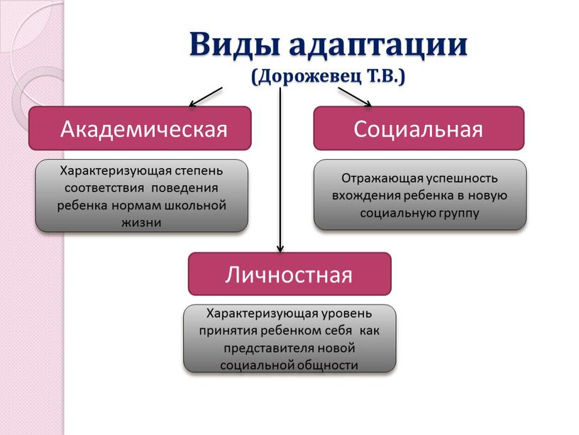 Виды адаптации (Дорожевец Т.В.)