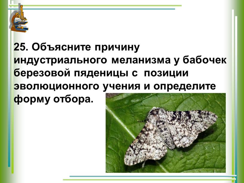 Объясните причину индустриального меланизма у бабочек березовой пяденицы с позиции эволюционного учения и определите форму отбора