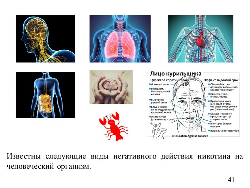 Известны следующие виды негативного действия никотина на человеческий организм