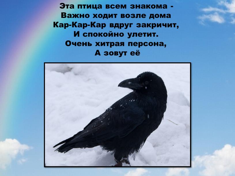 Эта птица всем знакома - Важно ходит возле дома