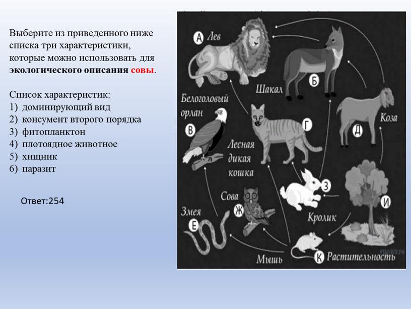 Выберите из приведенного ниже списка три характеристики, которые можно использовать для экологического описания совы