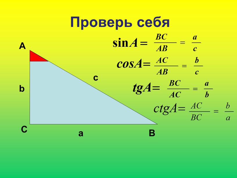 Проверь себя А С В b c a