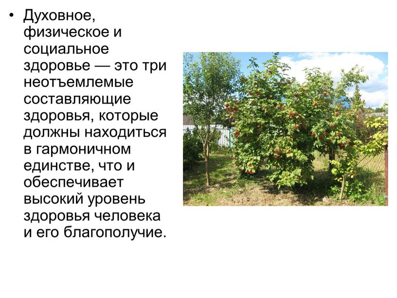 Духовное, физическое и социальное здоровье — это три неотъемлемые составляющие здоровья, которые должны находиться в гармоничном единстве, что и обеспечивает высокий уровень здоровья человека и…