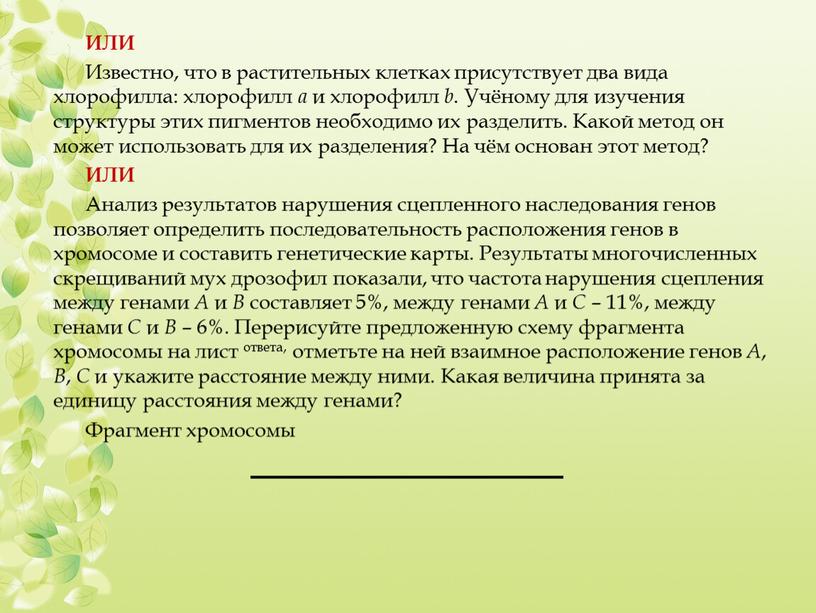 ИЛИ Известно, что в растительных клетках присутствует два вида хлорофилла: хлорофилл a и хлорофилл b