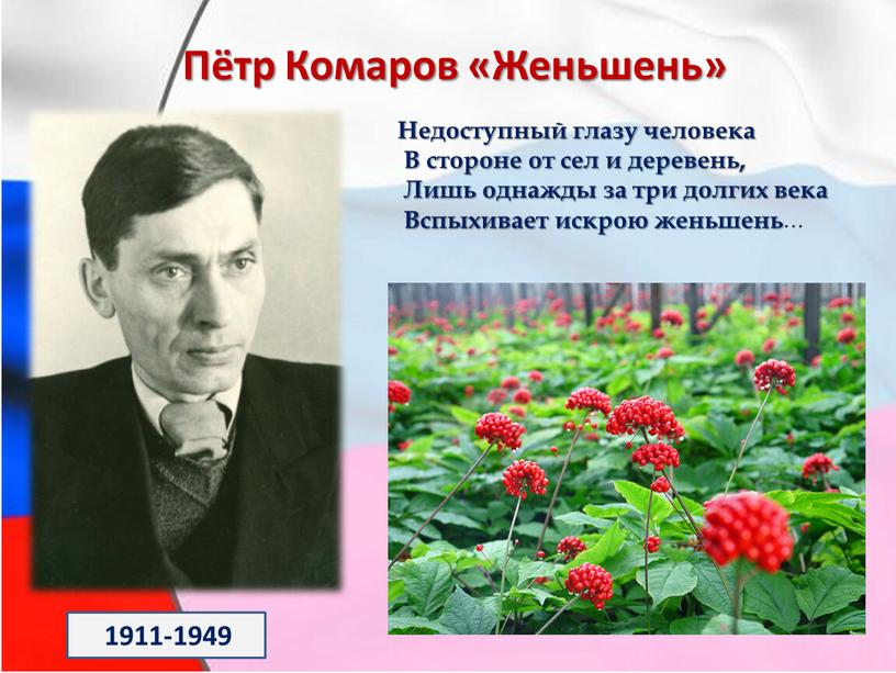 Пётр Комаров «Женьшень» Недоступный глазу человека