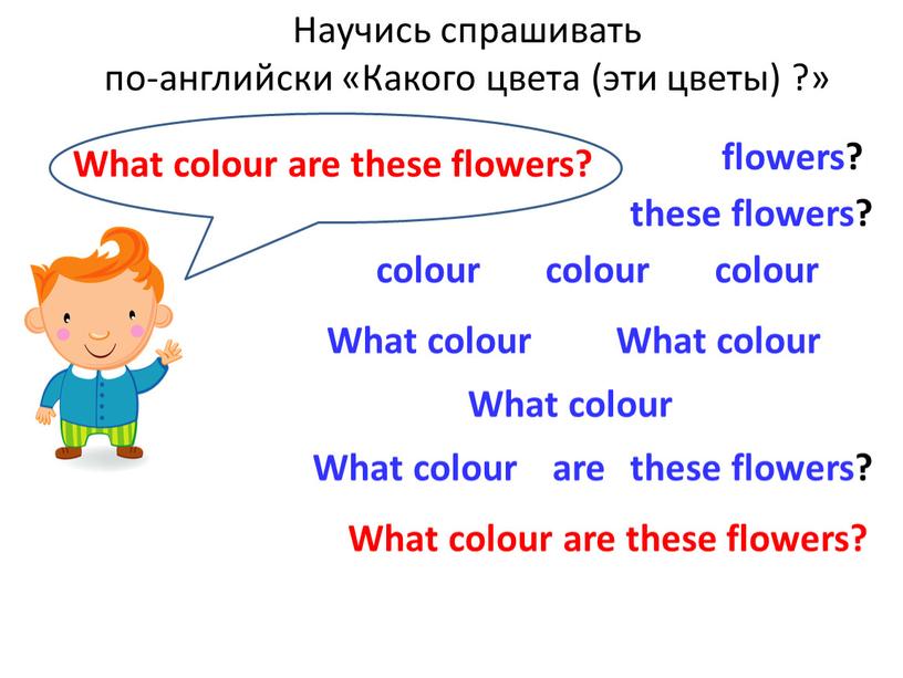 Научись спрашивать по-английски «Какого цвета (эти цветы) ?» colour these flowers? flowers?