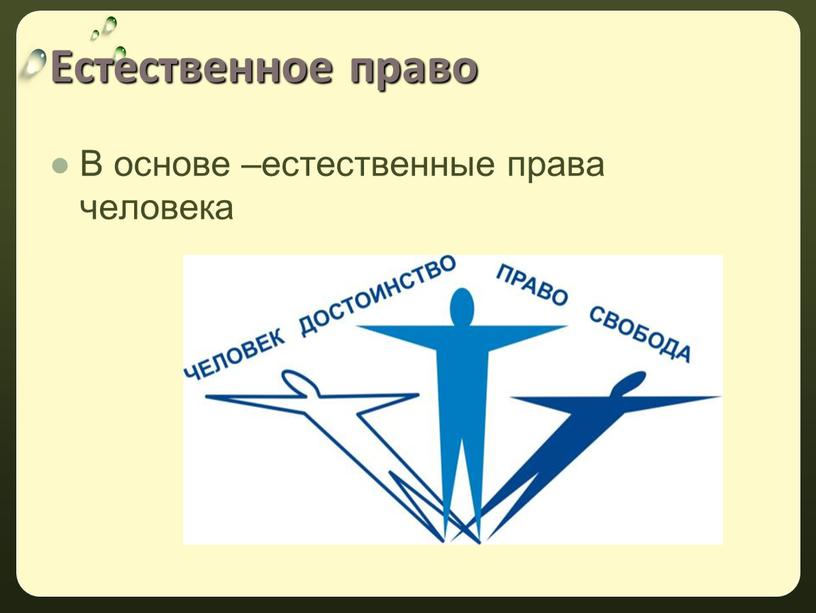 Естественное право В основе –естественные права человека