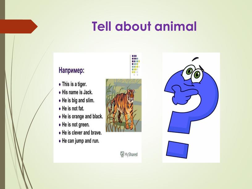 Tell about animal