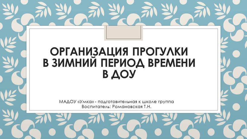 Организация прогулки в зимний период времени в доу