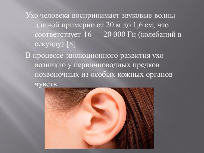 Ухо человека воспринимает звуковые волны длиной примерно от 20 м до 1,6 см, что соответствует 16 — 20 000