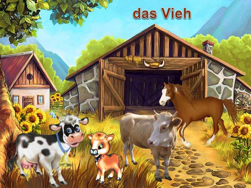 das Vieh