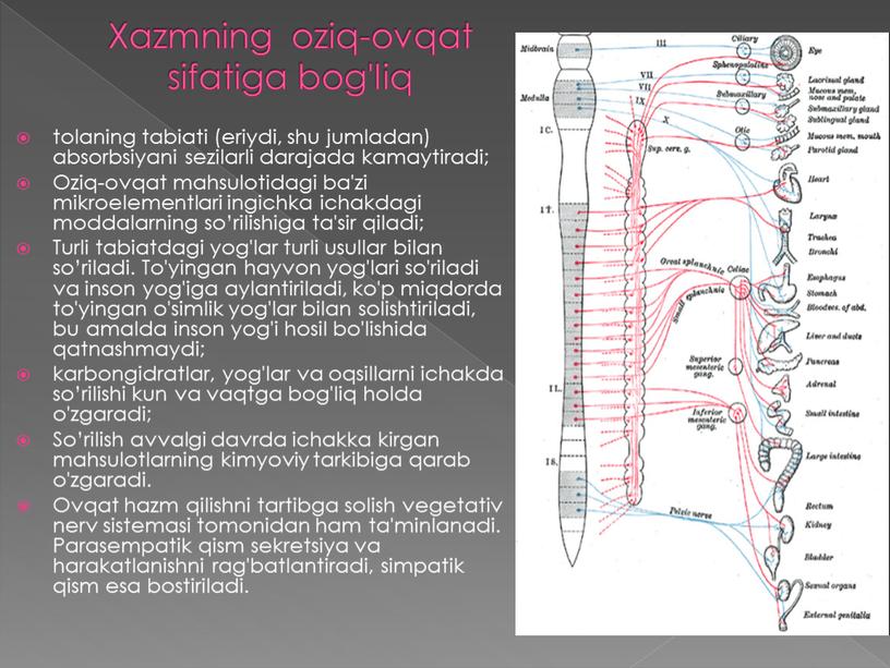 Xazmning oziq-ovqat sifatiga bog'liq tolaning tabiati (eriydi, shu jumladan) absorbsiyani sezilarli darajada kamaytiradi;