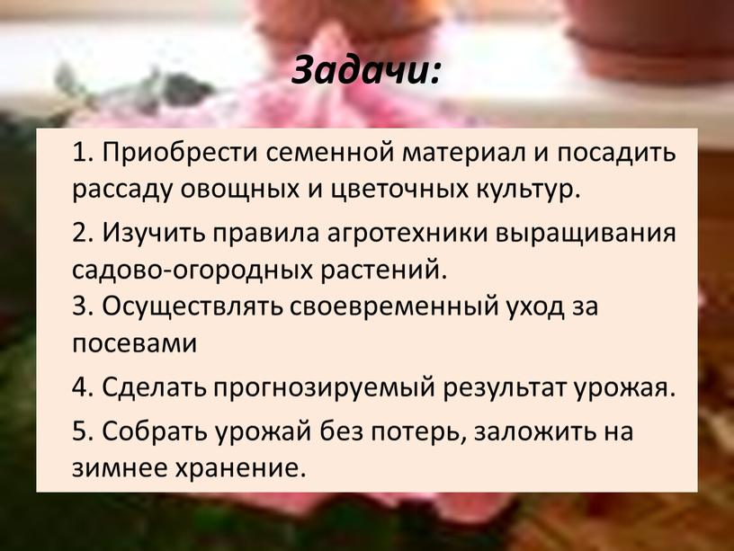 Задачи: 1. Приобрести семенной материал и посадить рассаду овощных и цветочных культур