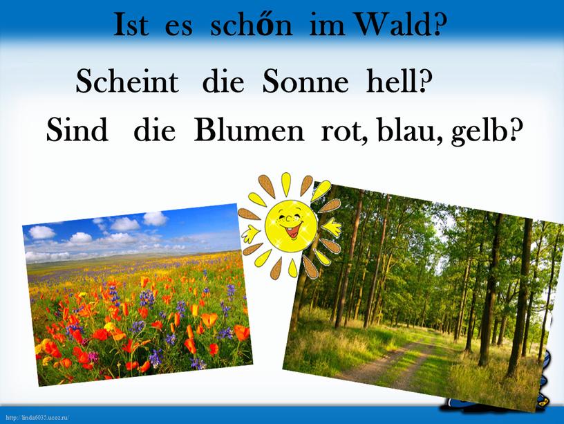 Ist es schőn im Wald? Scheint die