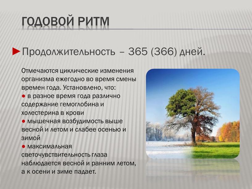 ГОДОВОЙ РИТМ ►Продолжительность – 365 (366) дней