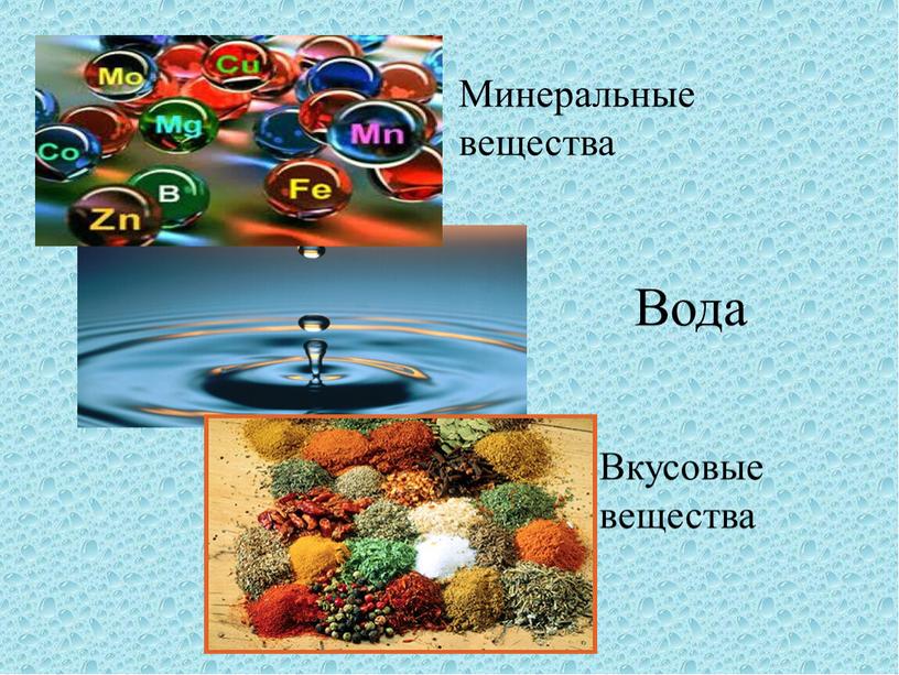 Минеральные вещества Вода Вкусовые вещества