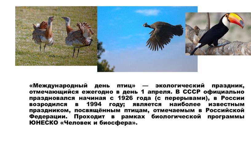 Международный день птиц» — экологический праздник, отмечающийся ежегодно в день 1 апреля