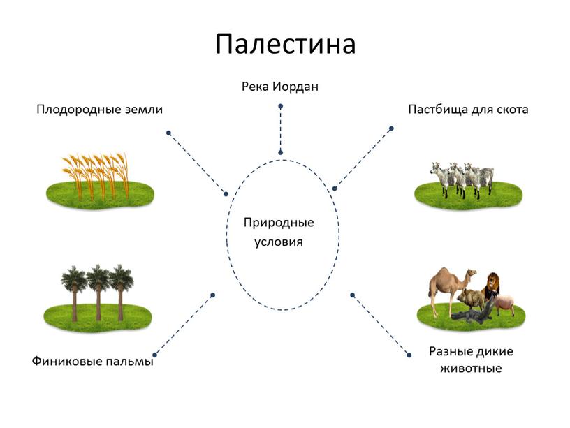 Природные условия Палестина Плодородные земли