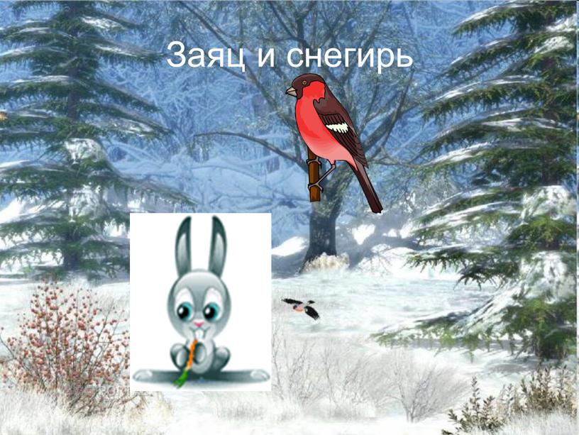 Заяц и снегирь